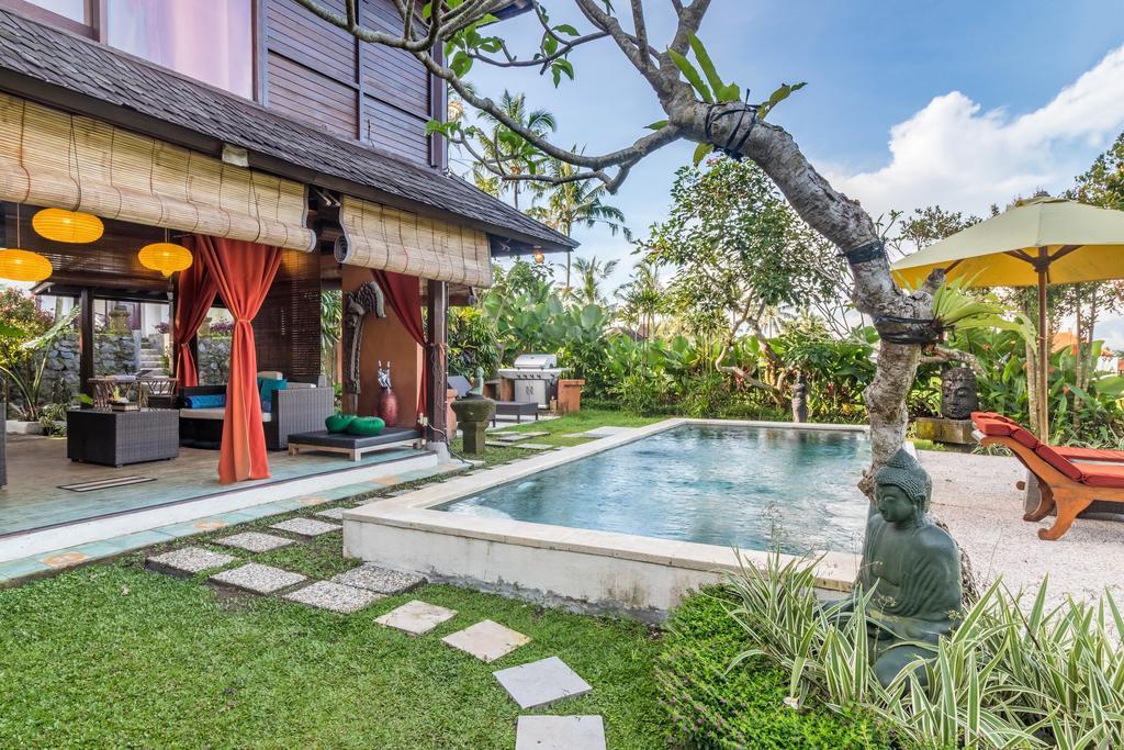 Padi Menari