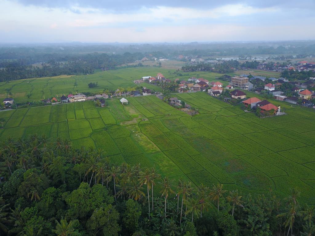 Guest house Pangkung Sari