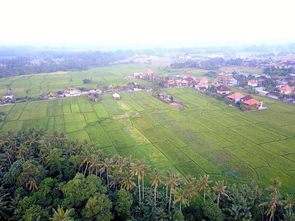 Pangkung Sari Guest house *