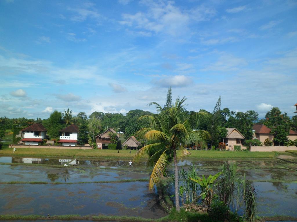 Guest house Nuriani