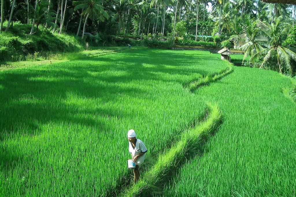Kanti Ubud