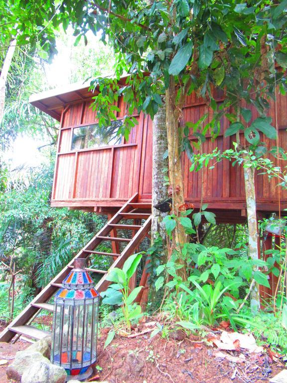 Hars Garden Tree Houses *