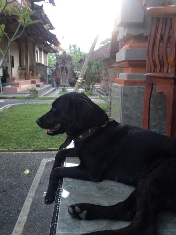 Homestay D'jero Ubud (Bali)