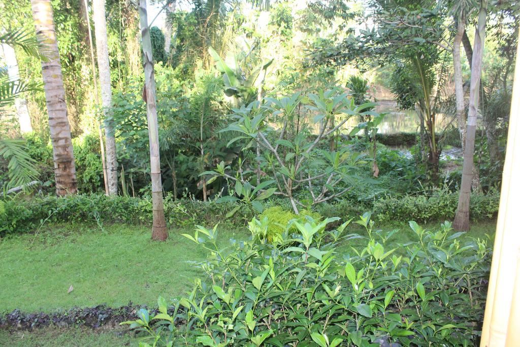 Vila Junjungan Serenity Villas&spa Ubud (Bali)