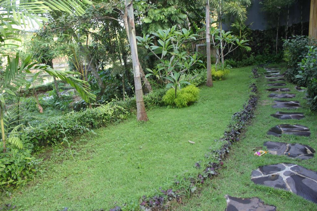 Villa Serenity & Ubud (Bali)