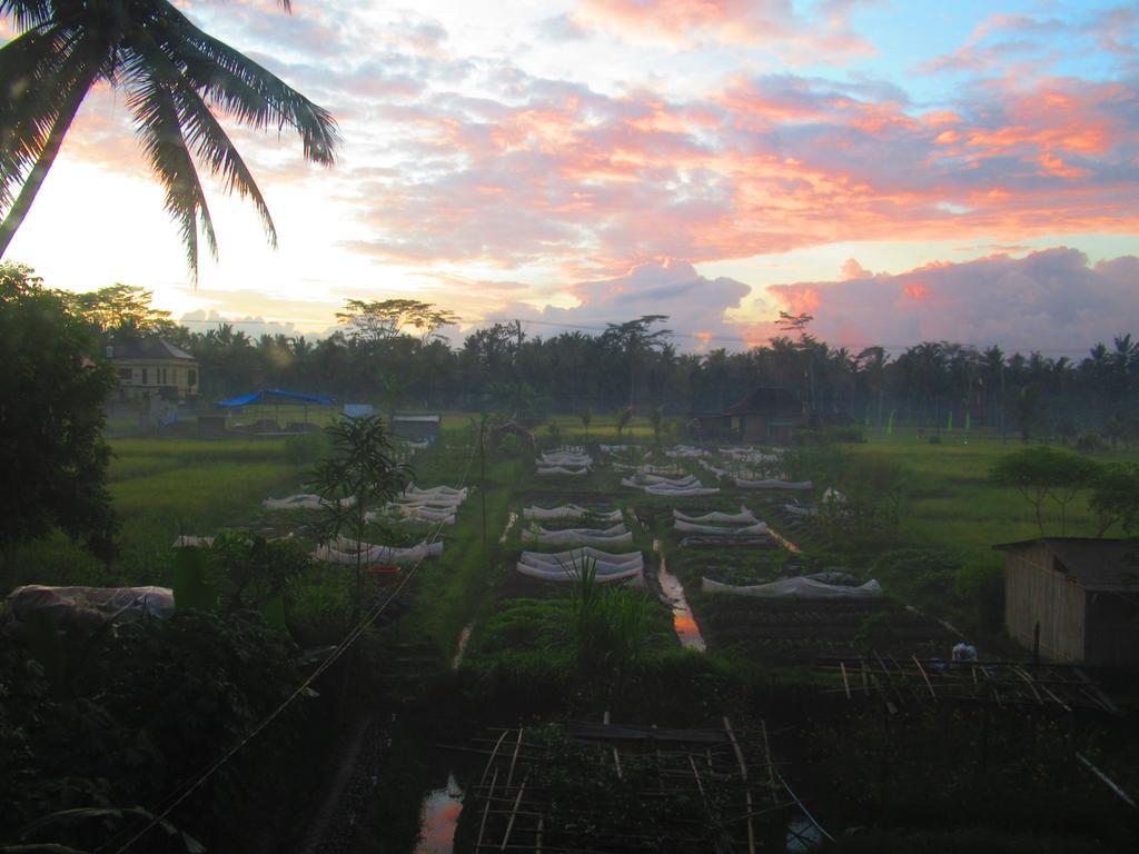 Hars Garden Tree Houses Ubud (Bali)