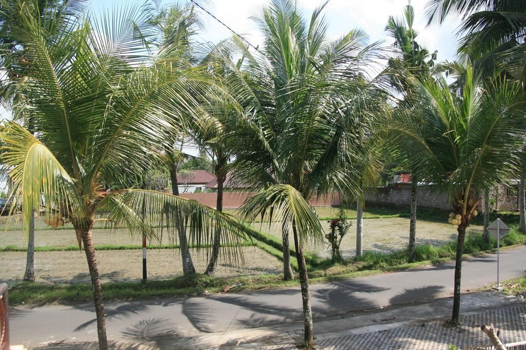 Gusti Rai House *