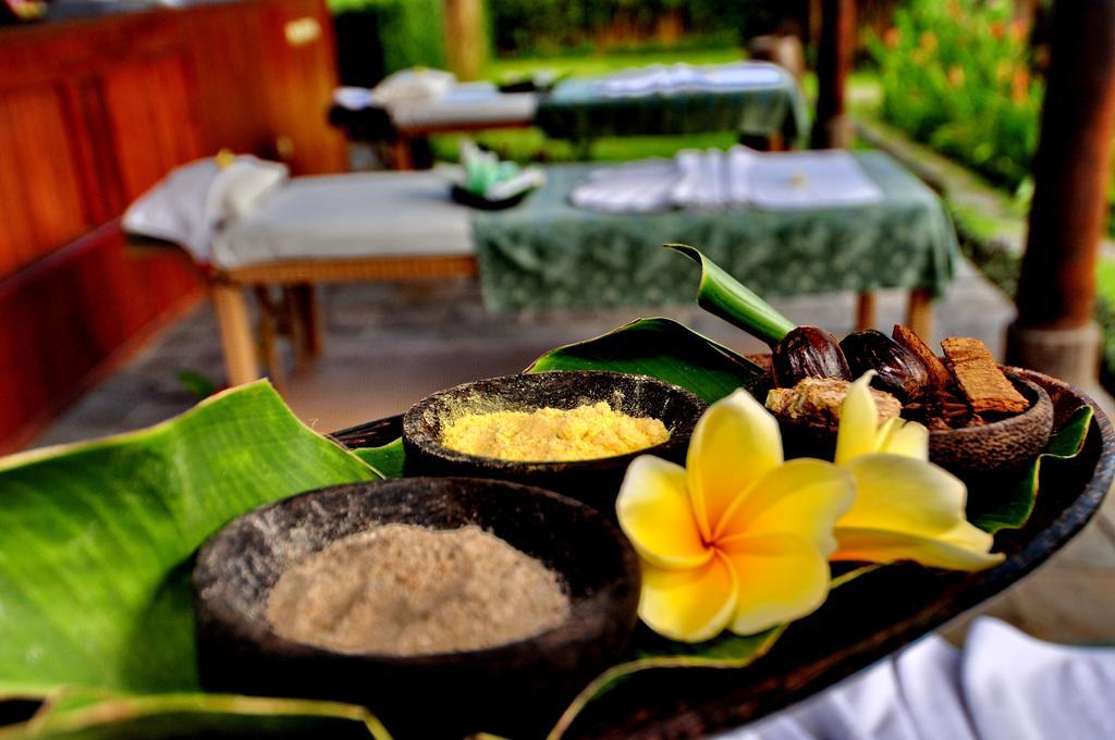 Hotel Villa Ubud Ubud