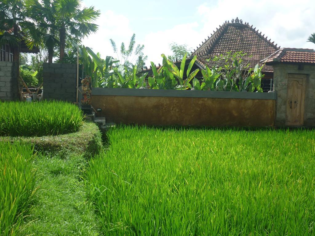Nini Villa *