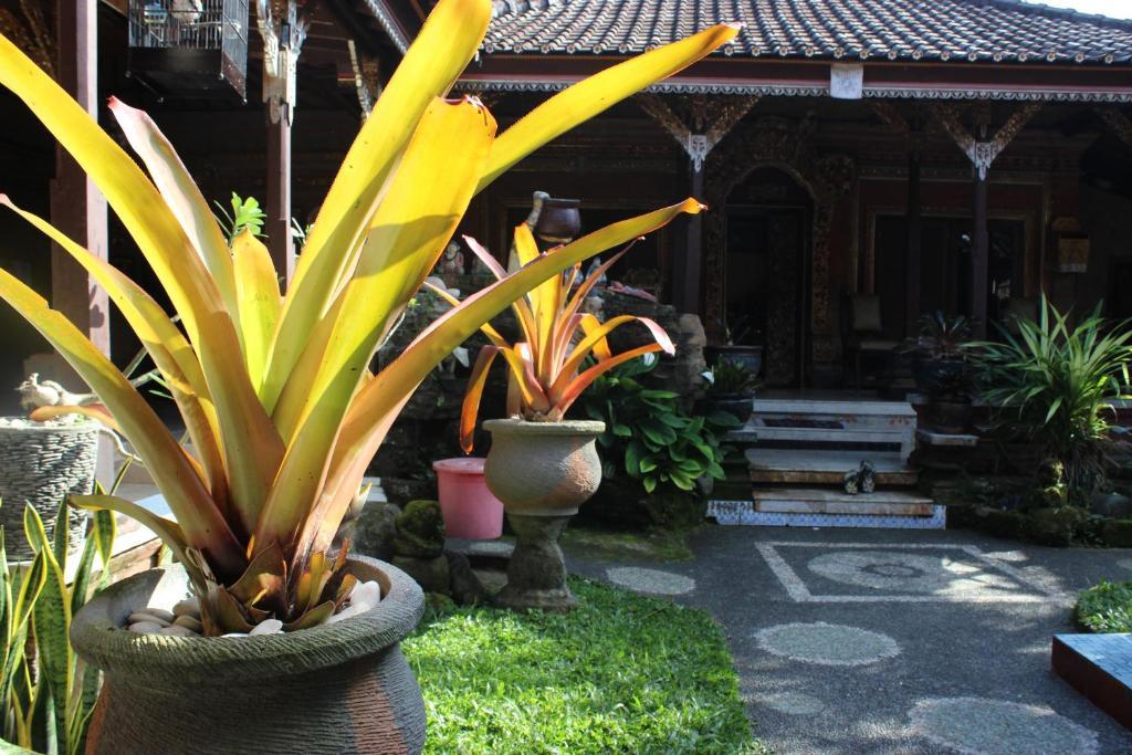 Apartment Lilacita Ubud