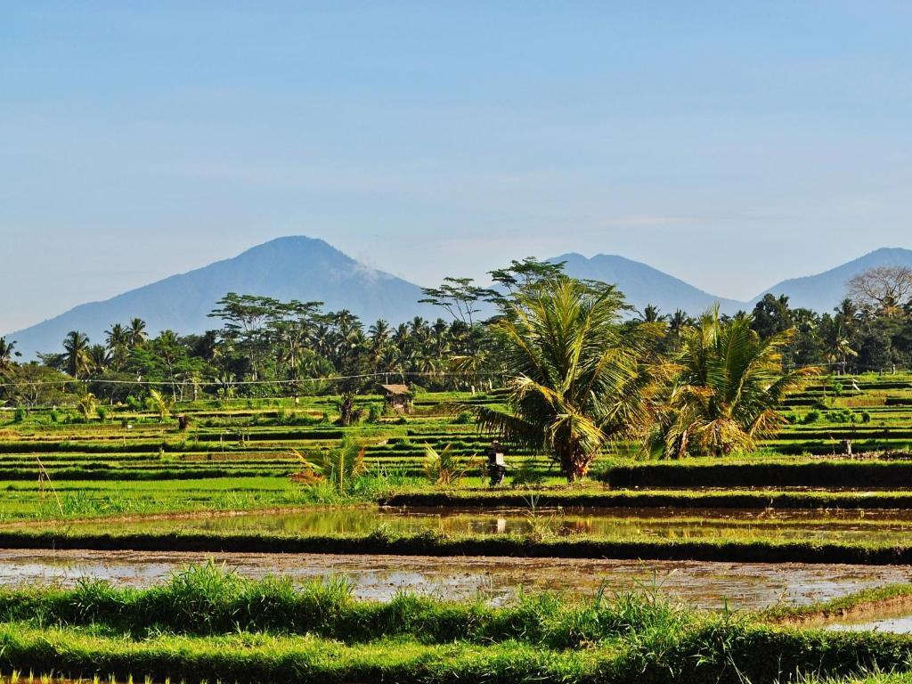 Bali Private Vila *