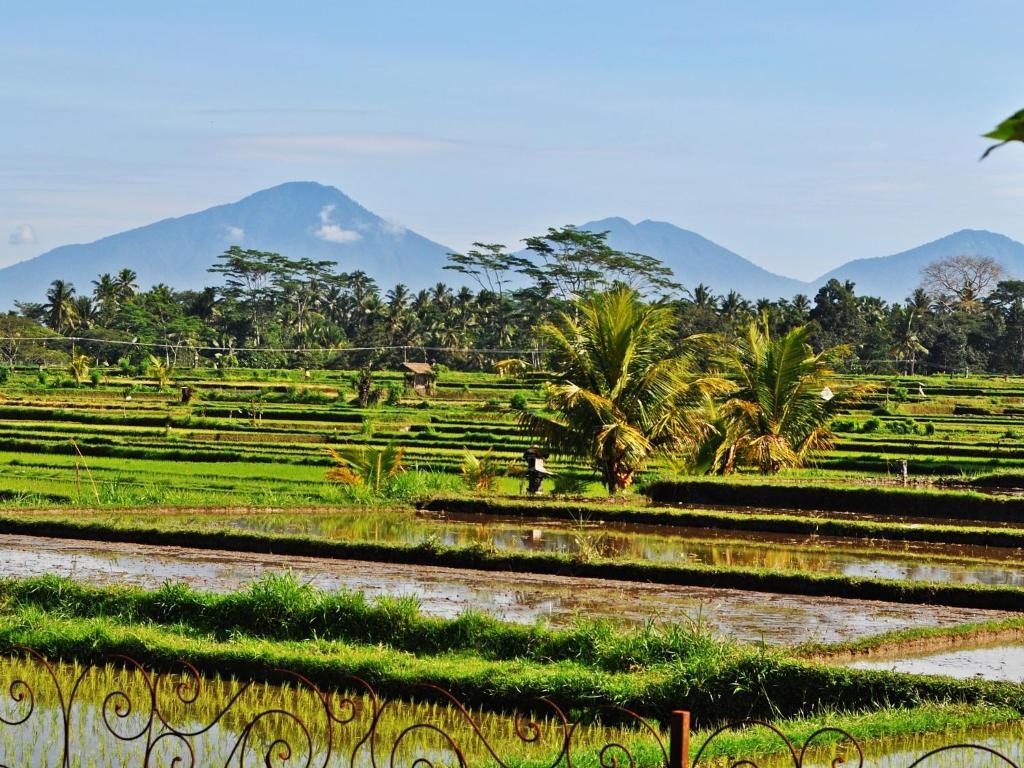 Vila Bali Private *