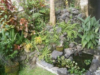 Waterfall At Rumah Jepun