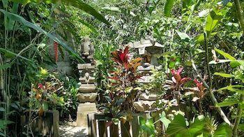 Waterfall At Rumah Jepun