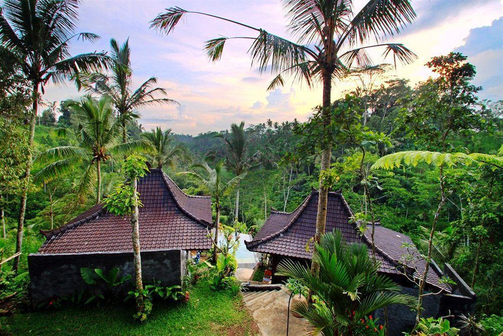 Jungle Holy Water