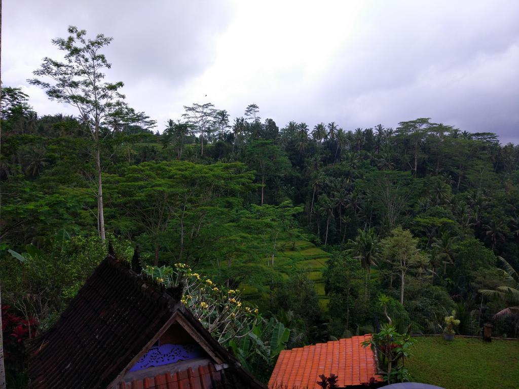 Tirta Asri 4* Ubud (Bali)