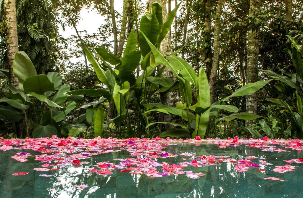 Sandat Glamping Tents Marangyang tolda Ubud (Bali)