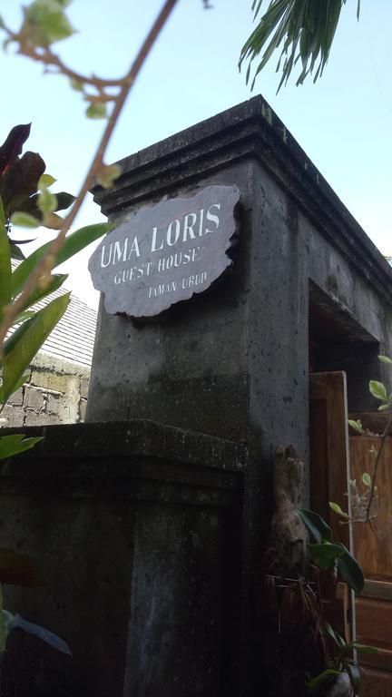 Uma Loris