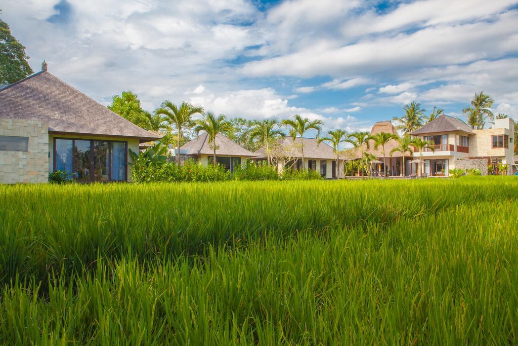 Lumia Bali *