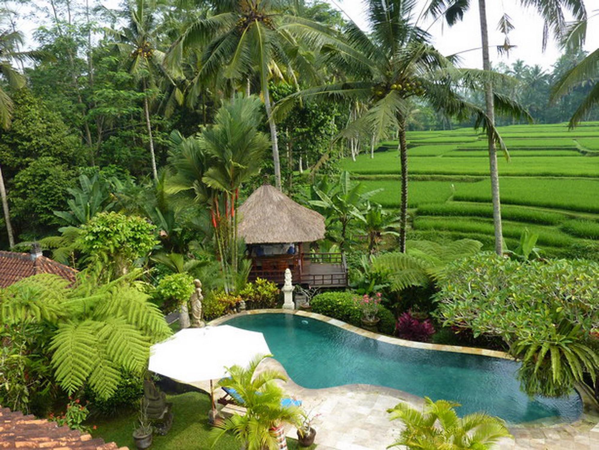 Orchid Bali Rumah percutian