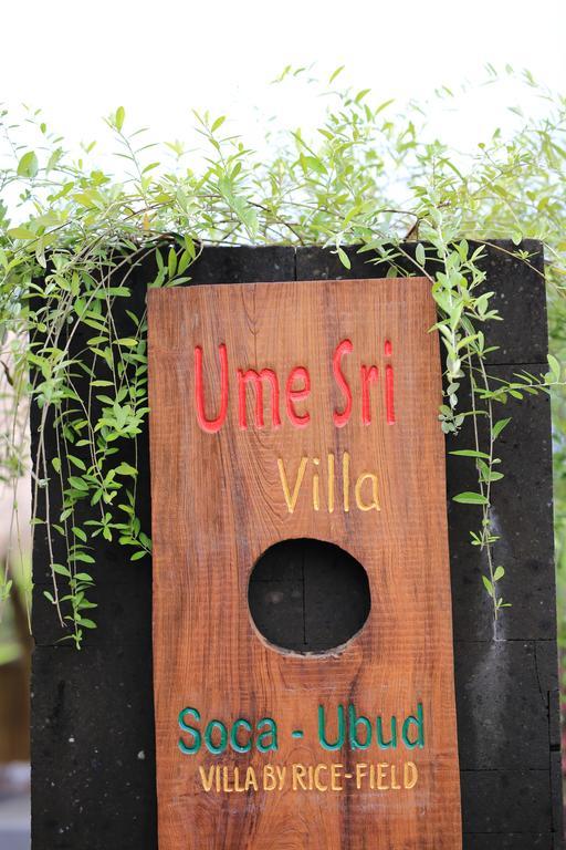 Villa Ume Sri *