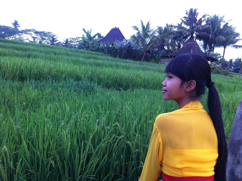 Neyang Villa Ubud (Bali)
