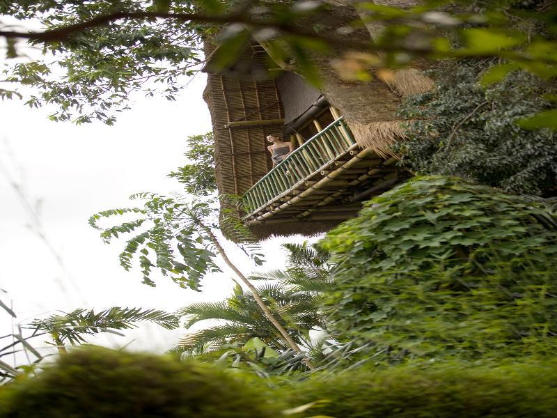 Kupu Kupu Barong Villas&tree By L’occitane