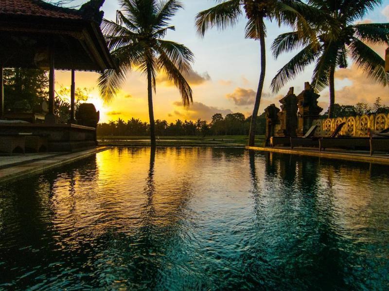 Field And Ubud (Bali)