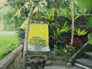 Guest house Jati