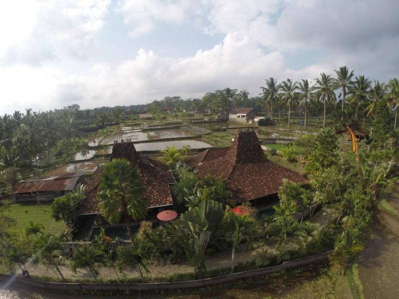 Syailendra *