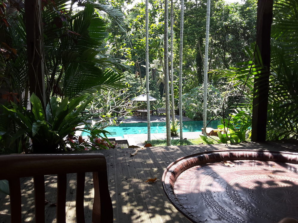 Beji Indah Ubud (Bali)