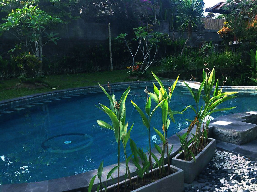 Terrace Campuhan 2*