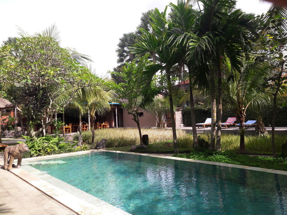 Guest house Sura 3*
