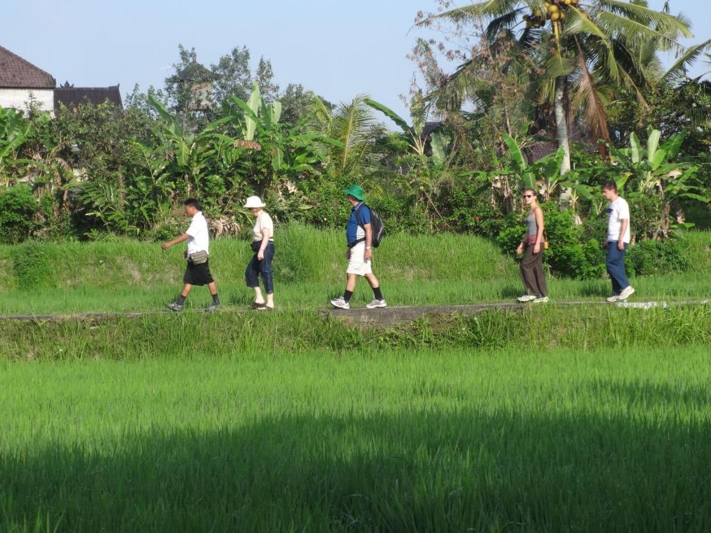 The Sungu & Resor