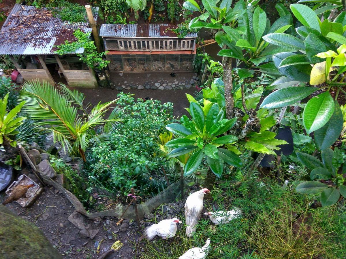 Accommodatie bij particulieren Undis Ubud