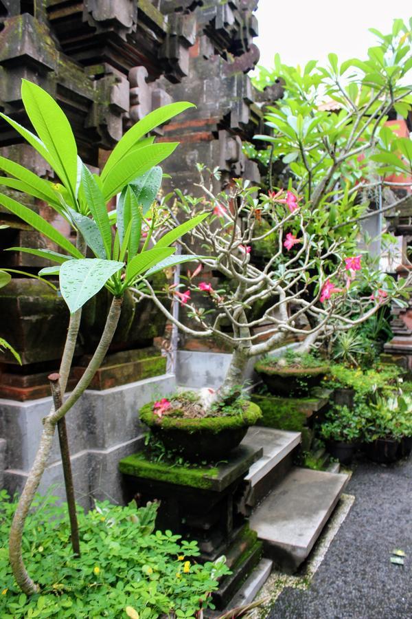 Rama * Ubud (Bali)