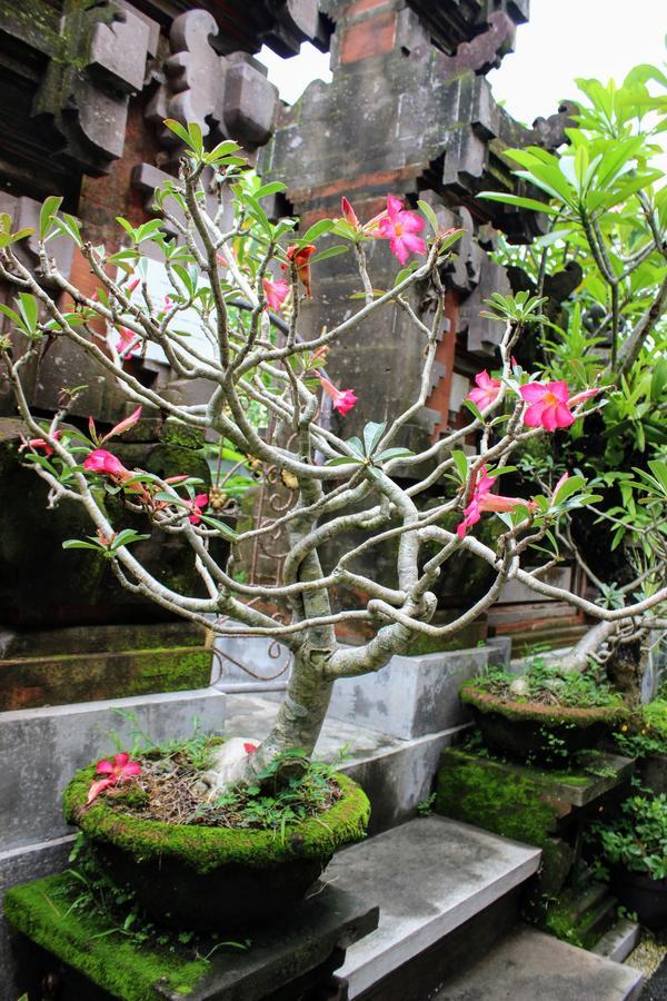 Homestay Rama