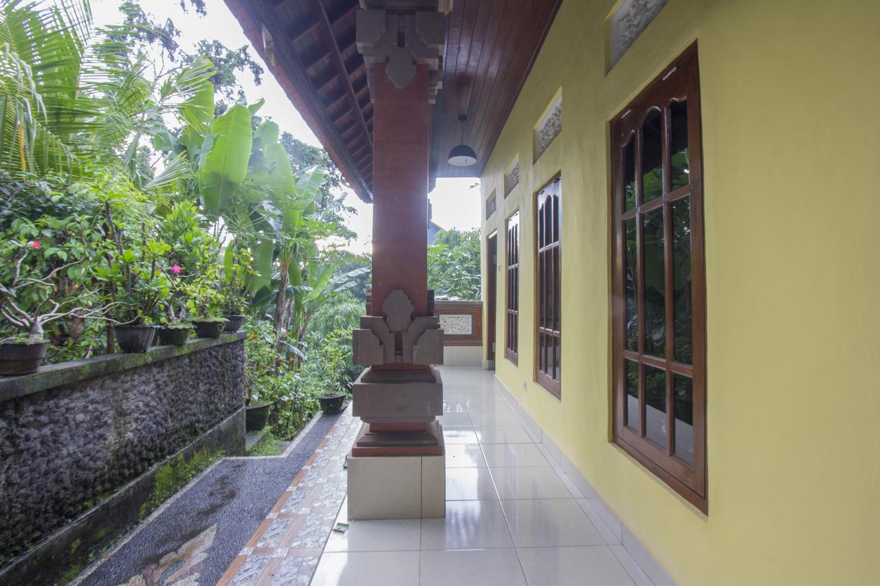 Homestay Nova