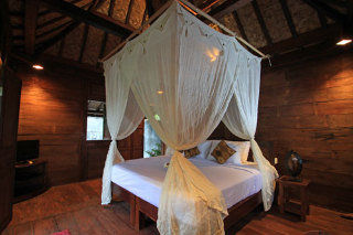 Hotel Dd Jungle