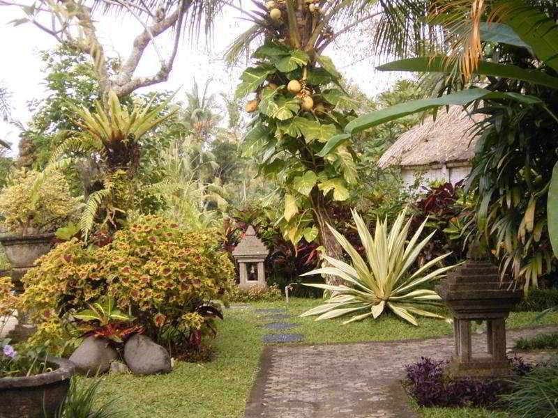 Guest house Bunga Permai Ubud (Bali)