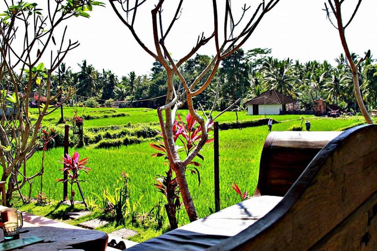 Villa White Ubud (Bali)