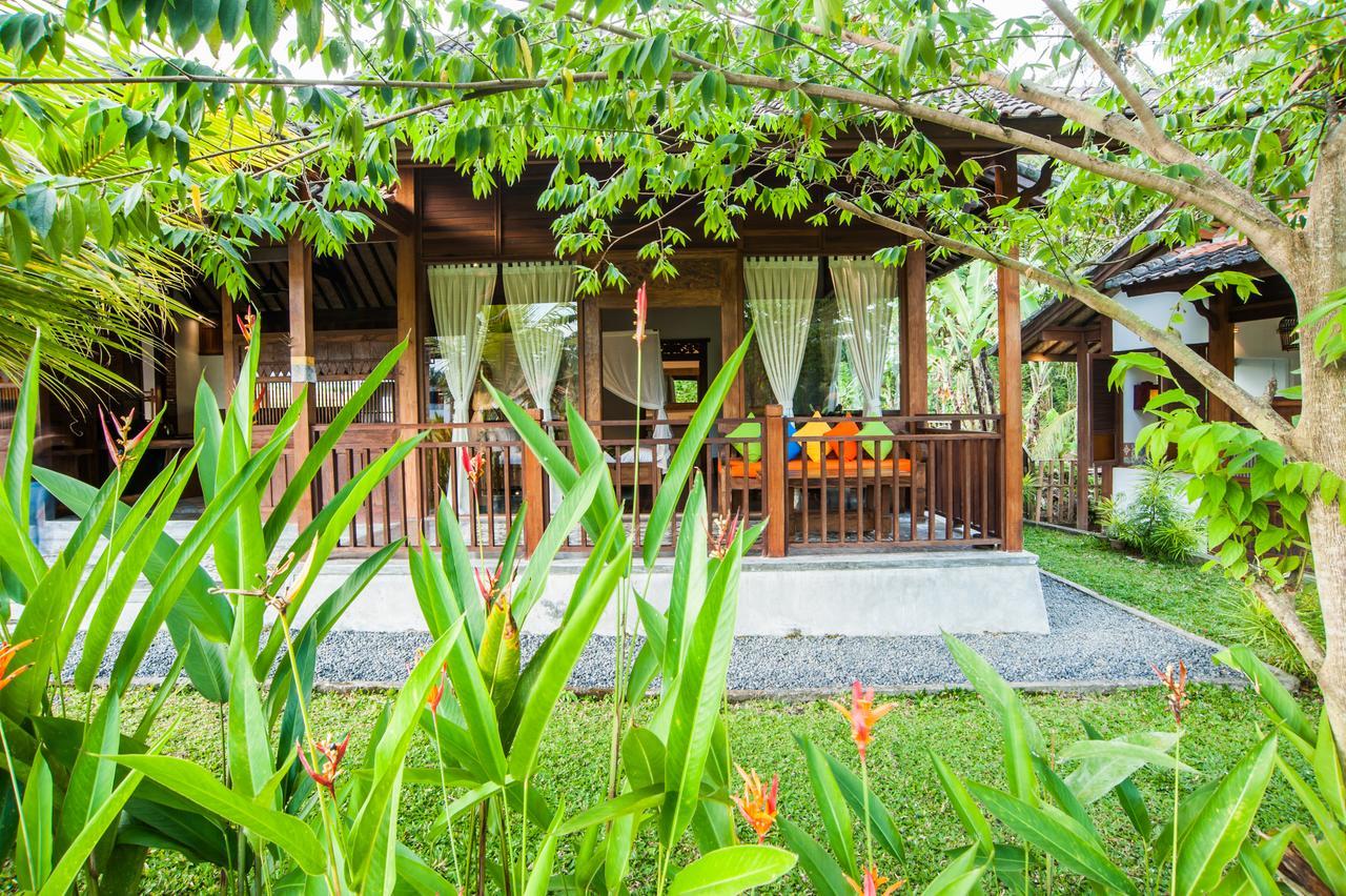 Tirta Padi