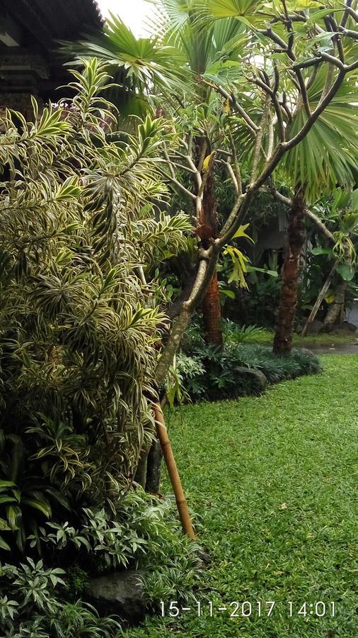 Ku-runa House Homestay Ubud (Bali)