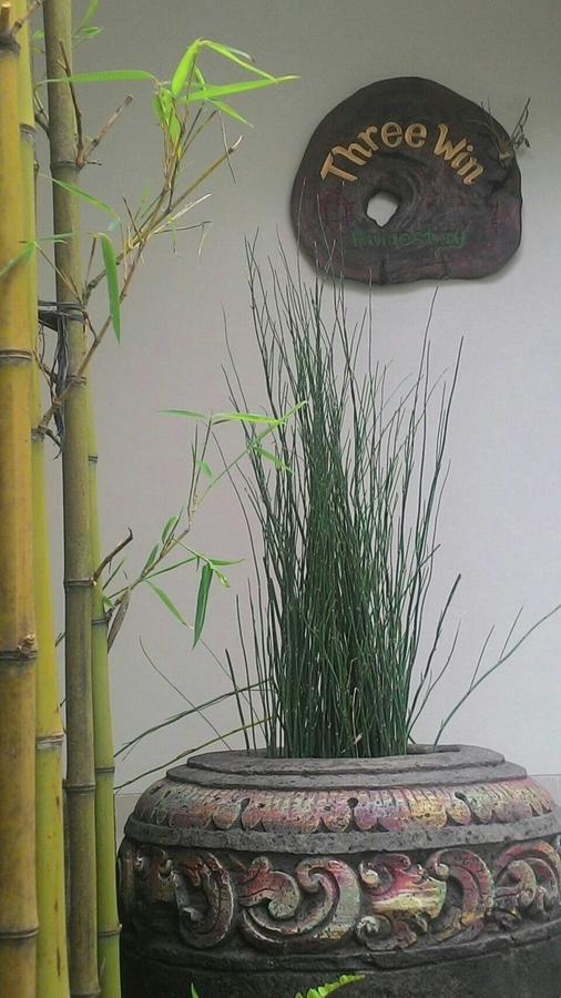 Homestay Threewin