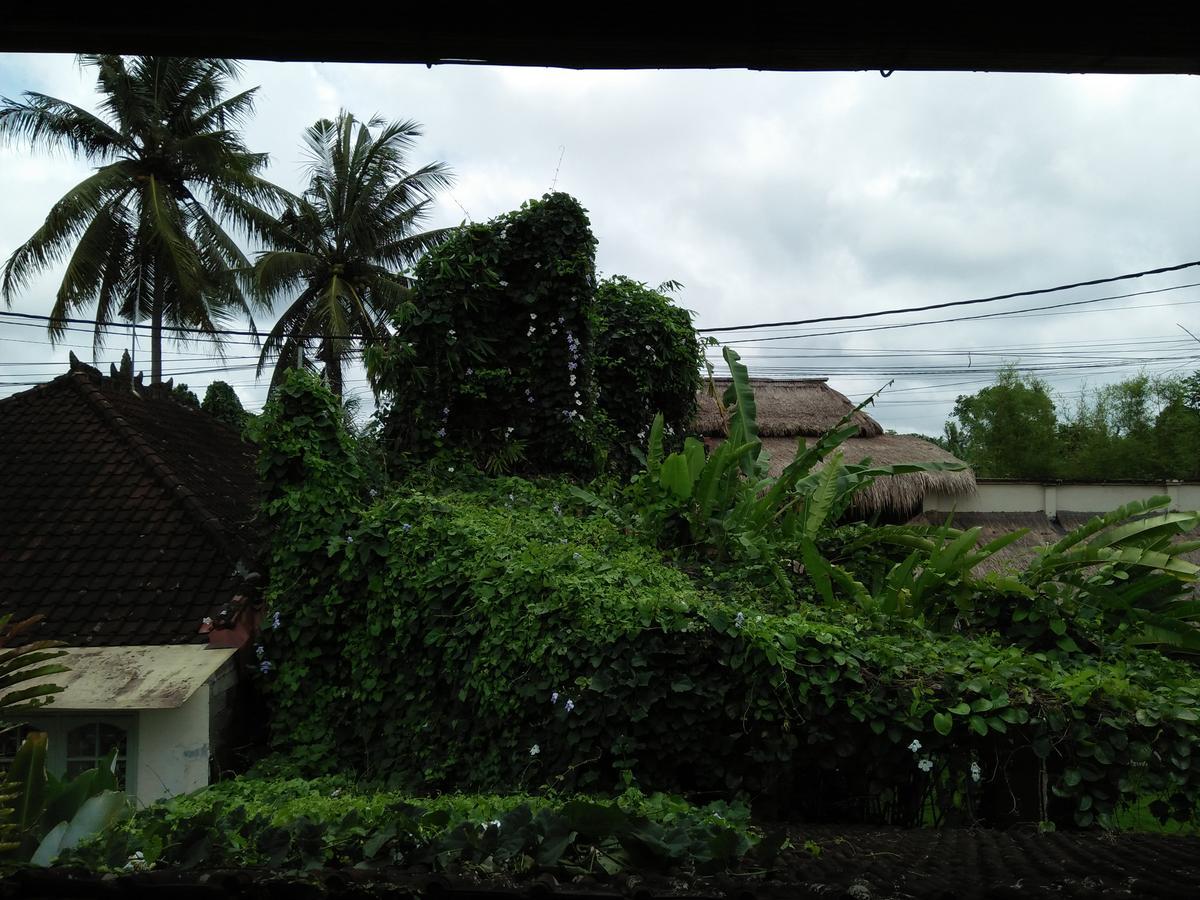 Villa Gaia Ubud