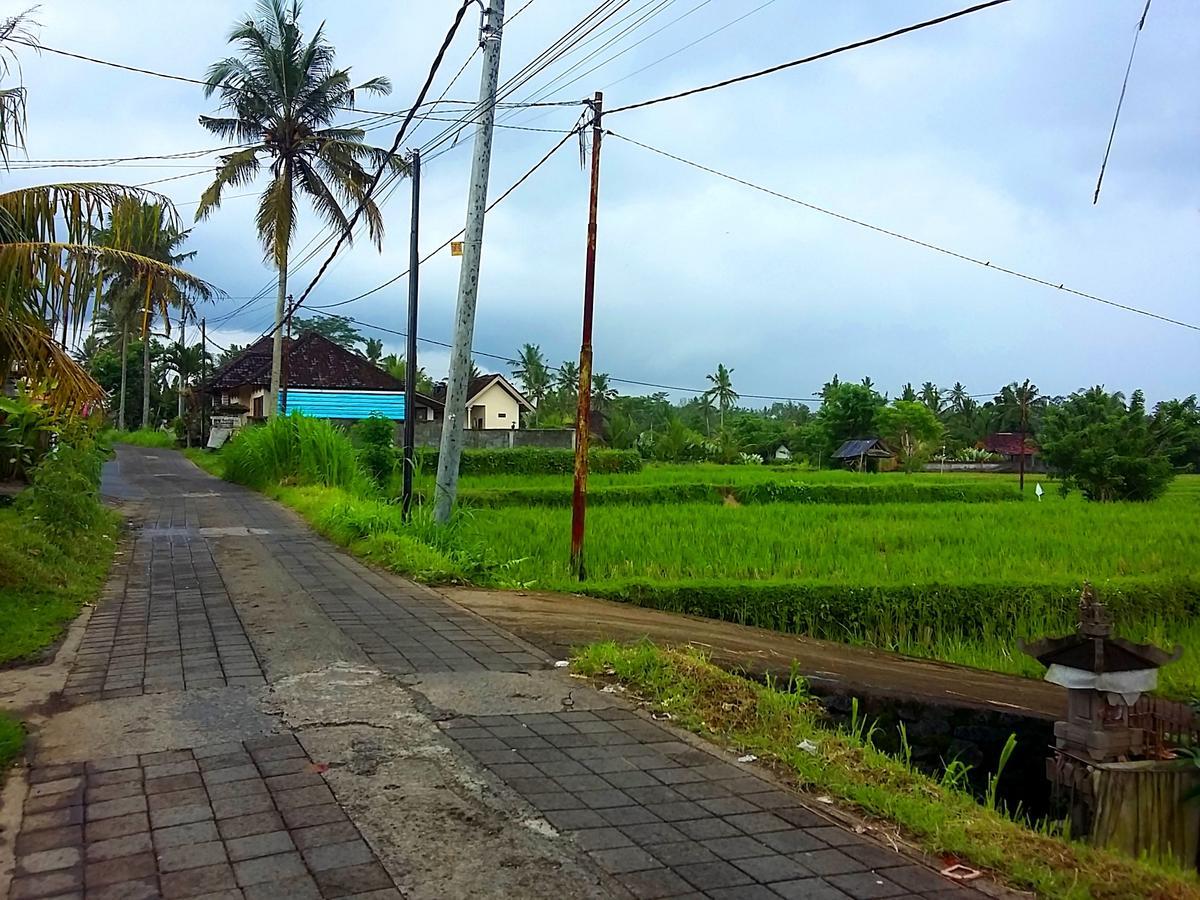 Yudi House