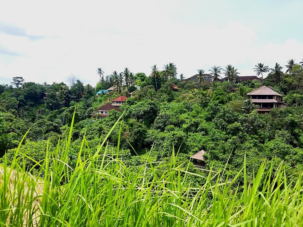 Yudi House Homestay Ubud (Bali)