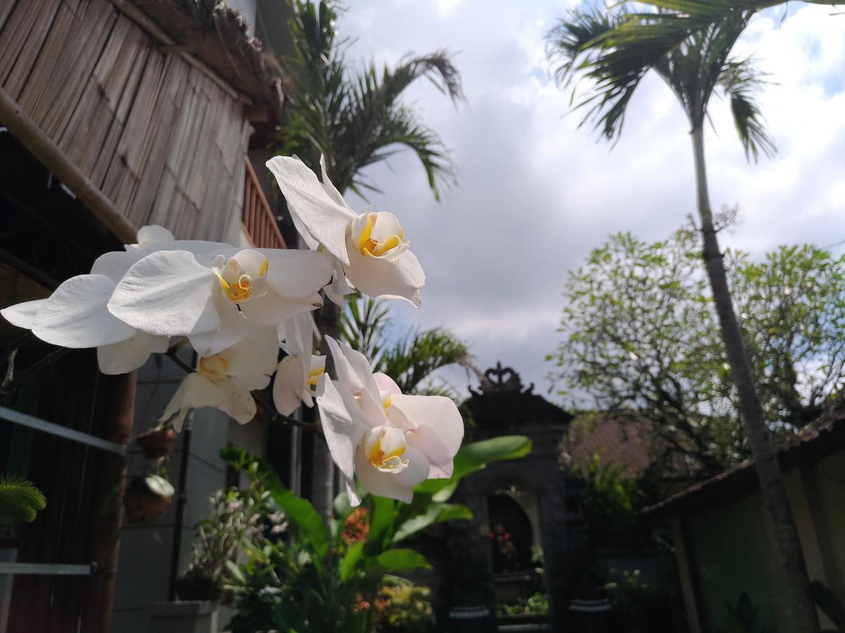 Mekenyem House Guest house Ubud (Bali)