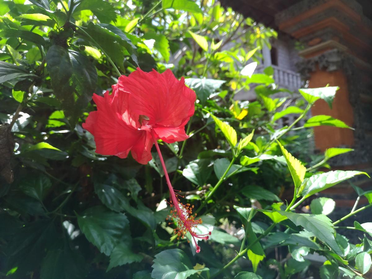 Mekenyem House * Ubud (Bali)