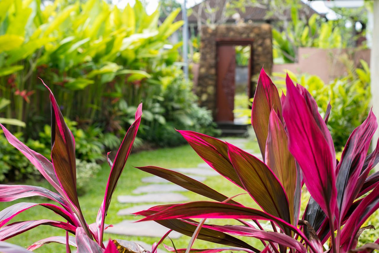 Villa Sunari *